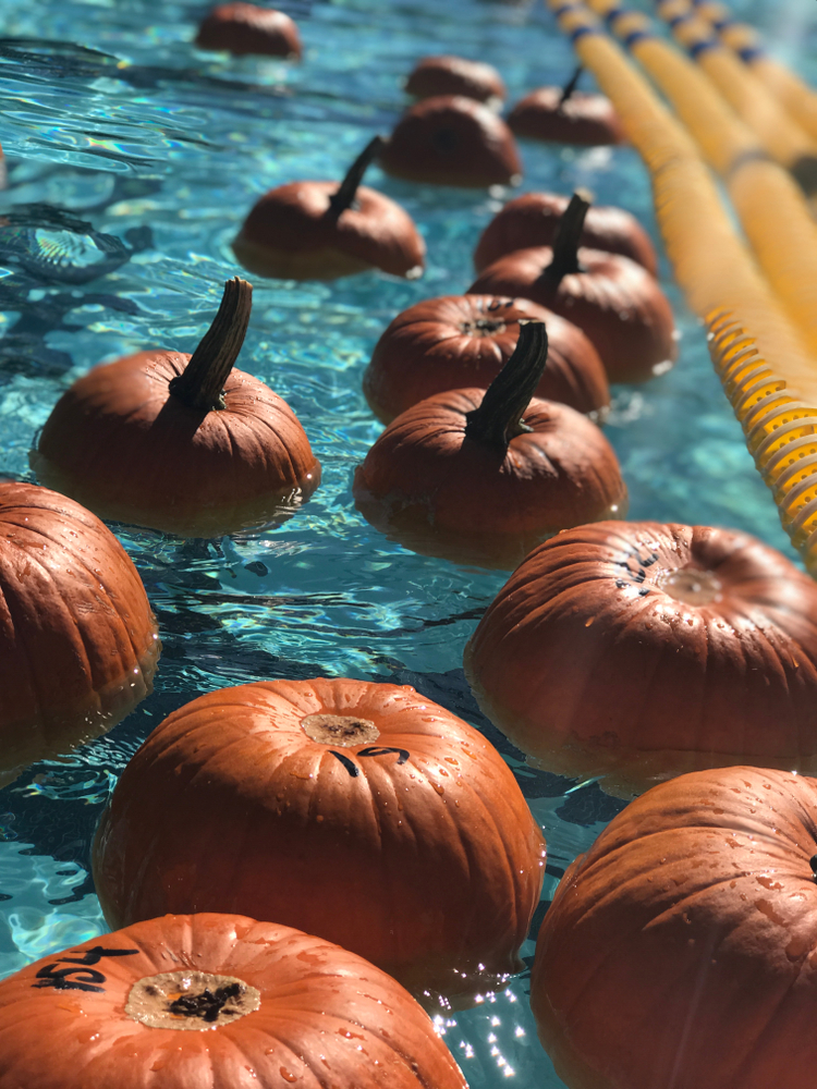pumpkins floating in a pool