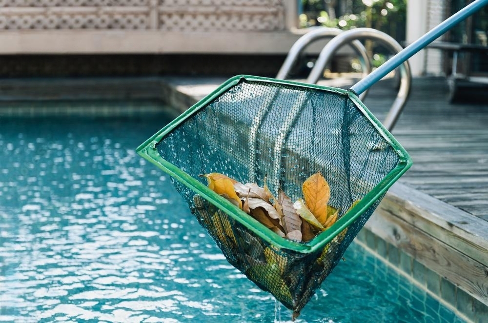 Close-up of a pool skimmer net capturing autumn leaves floating in a swimming pool.