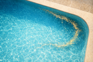 pool circulation problems Orlando shown by floating petals and debris tracing a still dead-zone pattern in one section of a pool.
