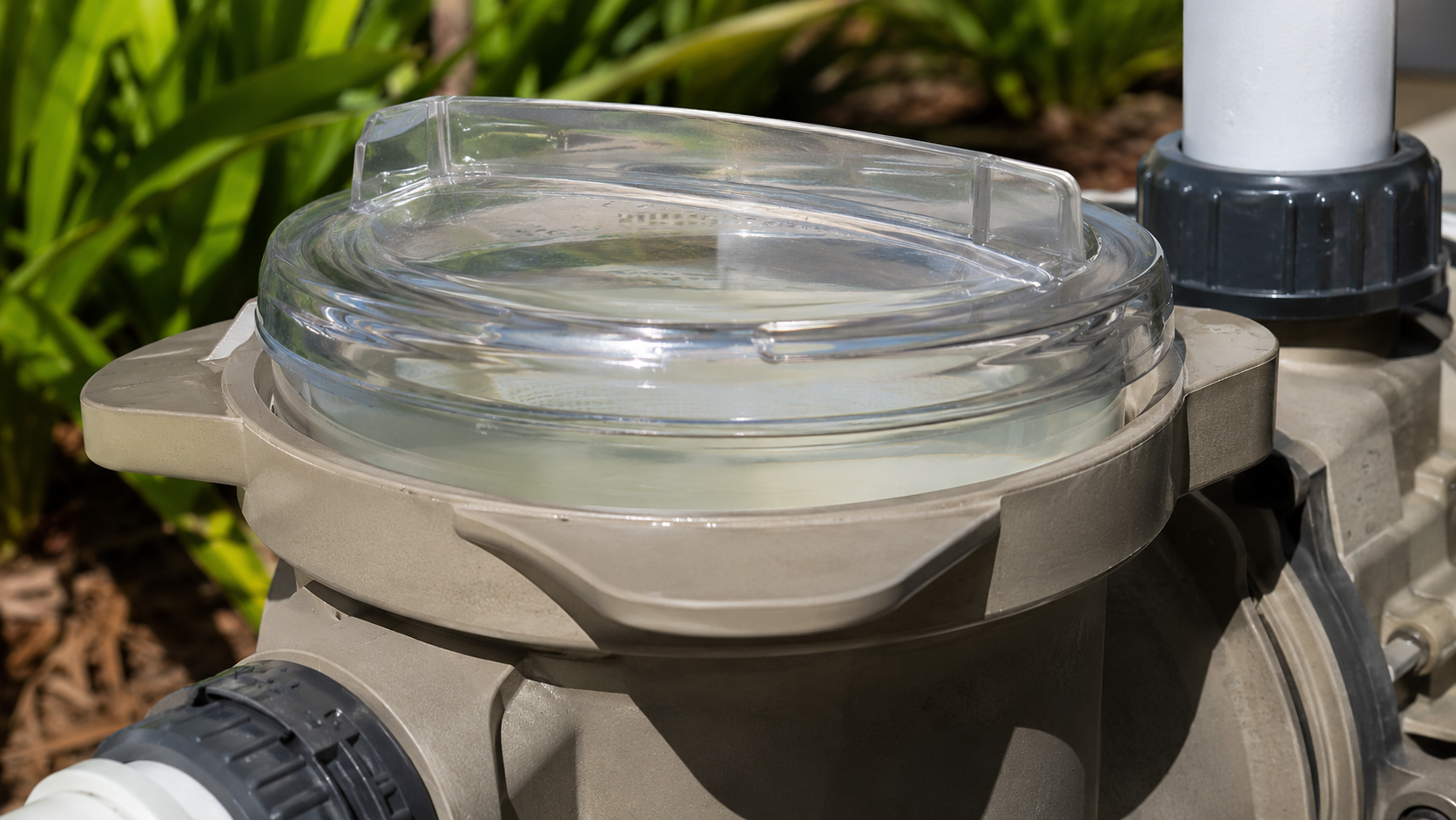 Pool pump won't prime shown by a clear pump strainer lid with a visible air pocket and reduced water inside the basket chamber.