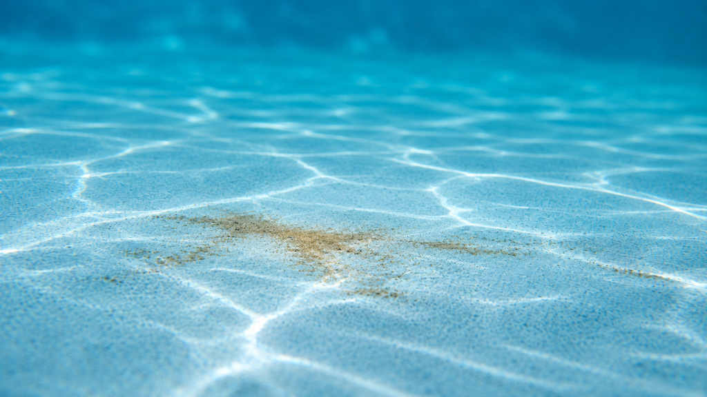 Sand in pool shown by a small patch of fine tan grit resting on the clean blue floor of an Orlando residential swimming pool.